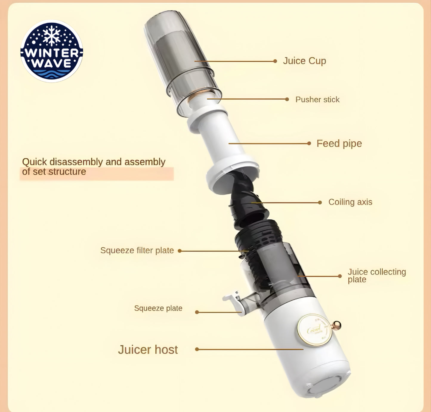 Cold Press Slow Juicer