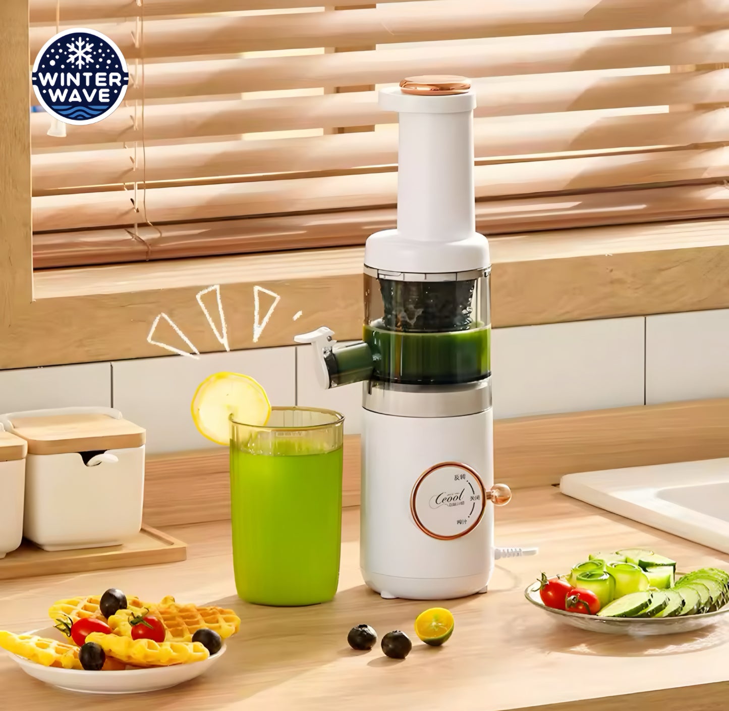 Cold Press Slow Juicer