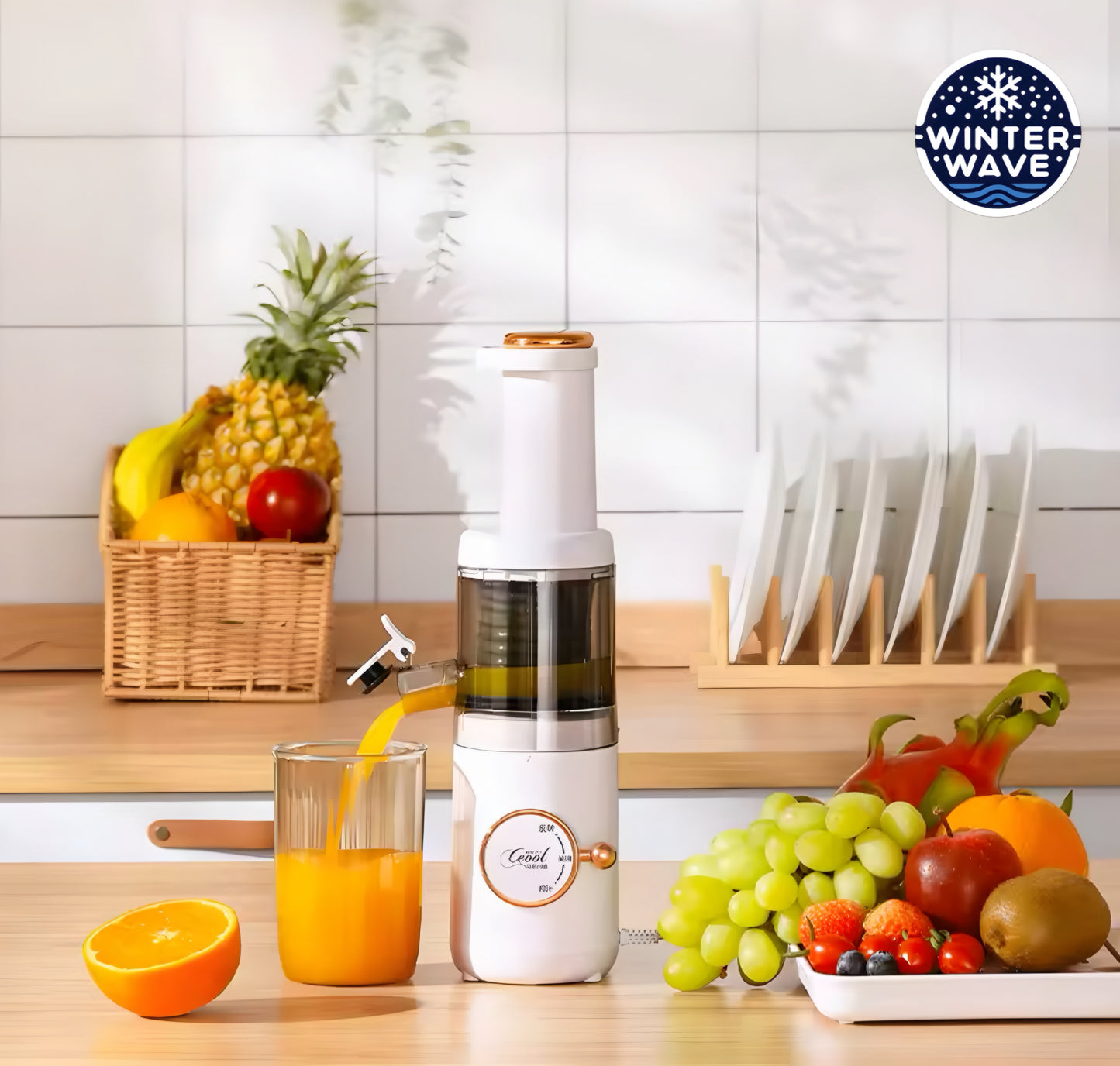 Cold Press Slow Juicer