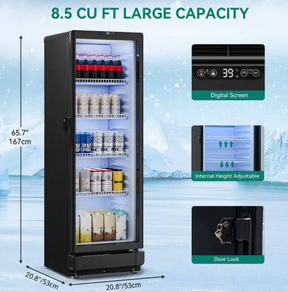 Beverage Display Fridge Cooler