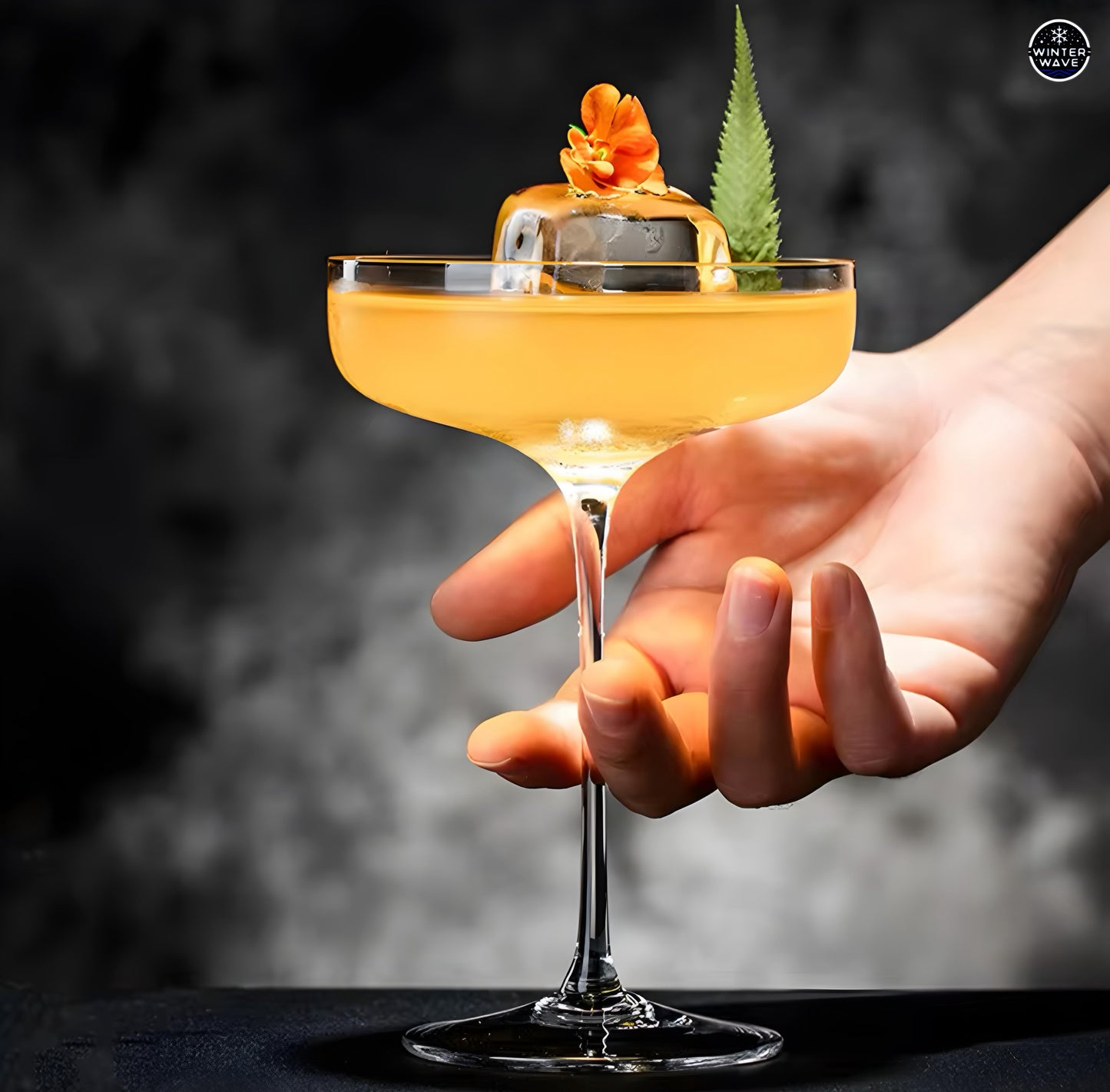Martini Glasses 6 PCS