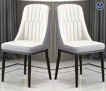 Dining Chairs 2 PCS