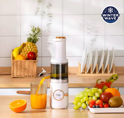 Cold Press Slow Juicer