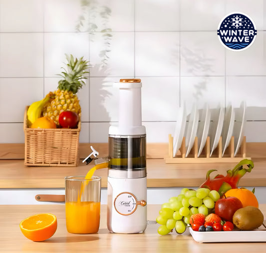 Cold Press Slow Juicer
