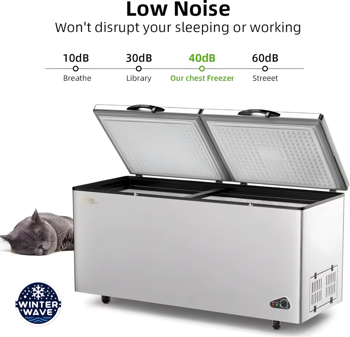 Commercial Deep Freezer