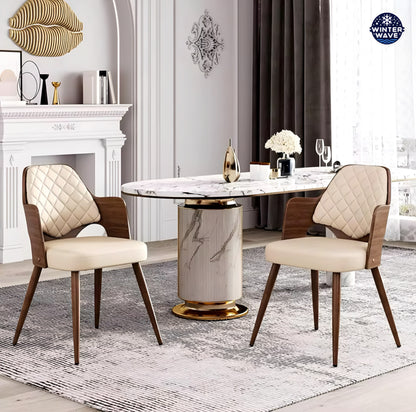 Dining Chair 2 PCS