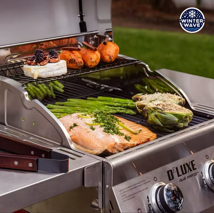 Vintage 2 Burner Grill