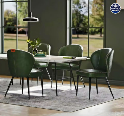 Luxury Dining Chairs 4 PCS