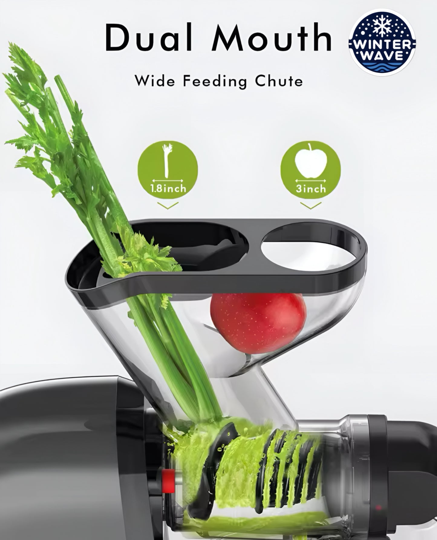 Juice Extractor Slow Masticating