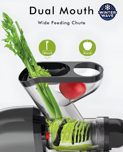 Juice Extractor Slow Masticating